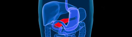 Pancreatic Cancer Treatment | Manhasset NY